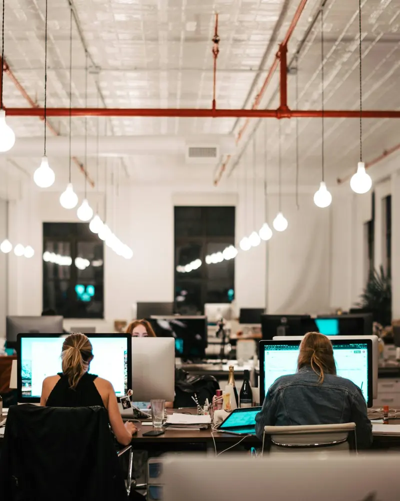People working at their desks in a bright open office hung with bulb lights